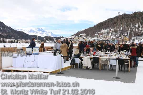 IMG 7941 prot